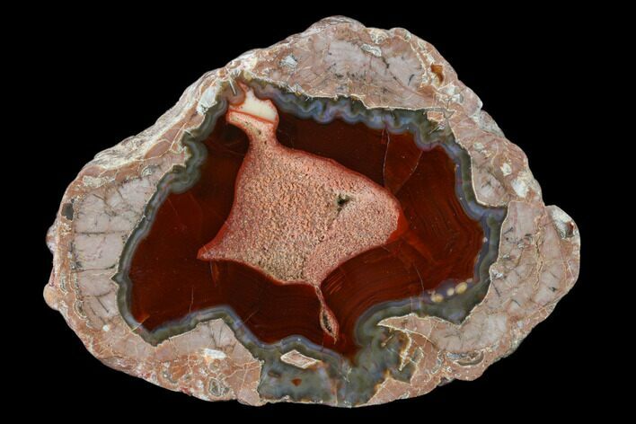 Polished Baker Ranch Thunderegg - New Mexico #146554